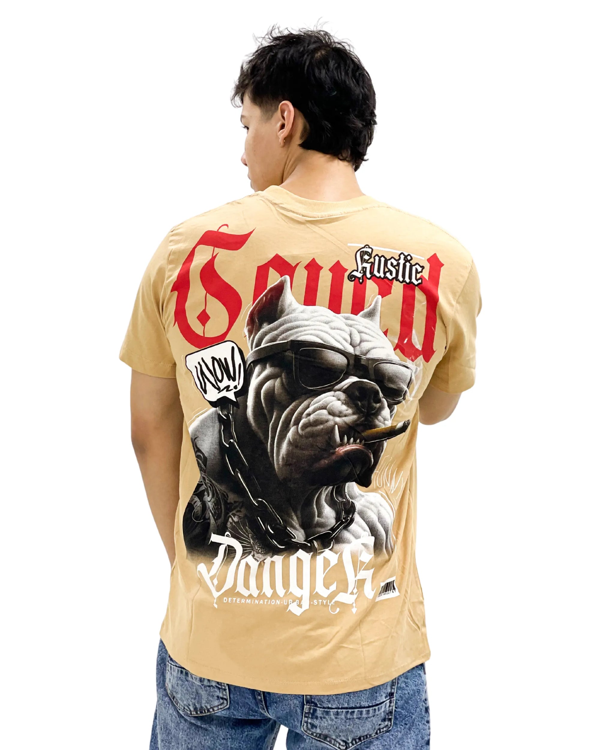 Camiseta Urbana Pitbull